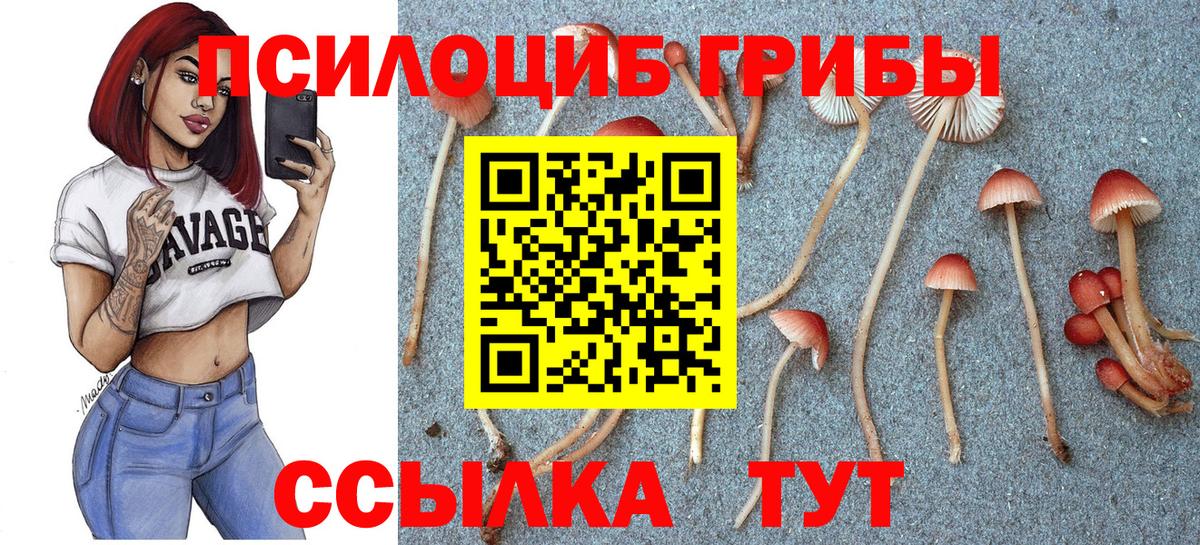 Галлюциногенные грибы Magic Shrooms Чистополь