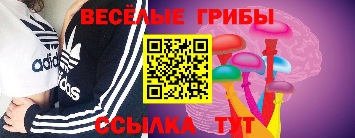 Псилоцибиновые грибы Psilocybe  Вход с VPN  Псилоцибиновые грибы Cubensis  Чистополь 
